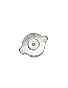 30-60041-00 TAPON RADIADOR