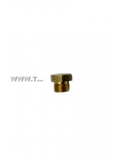 40-60019-01 TAPON MOTOR