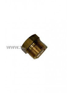 40-60019-04 TAPON MOTOR