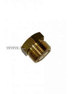 40-60019-05 TAPON MOTOR