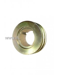 50-60179-00 POLEA T-BIRD
