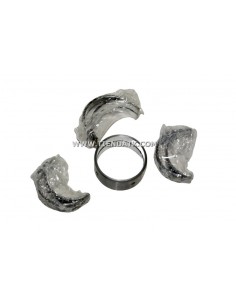 7102810 KIT CASQUILLOS...