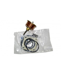 20-60-298 KIT REP. VALV....