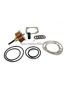 20-60-298 KIT REP. VALV.... 2