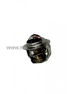 25-15003-02 TERMOSTATO 043