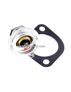 25-15402-00SV TERMOSTATO AGUA