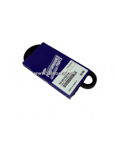 50-00162-08 CORREA ALTERNADOR