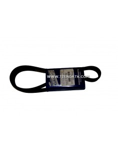 50-60248-01 CORREA CARRIER