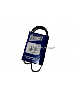 50-60330-06 CORREA ALTERNADOR
