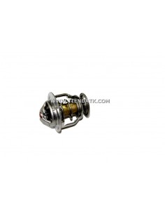 11-9624 TERMOSTATO AGUA TK 486